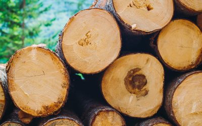 Quality and Sustainability: How Gerber Lumber Balances Excellence With Environmental Responsibility